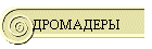 ДРОМАДЕРЫ