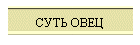 СУТЬ ОВЕЦ