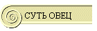 СУТЬ ОВЕЦ